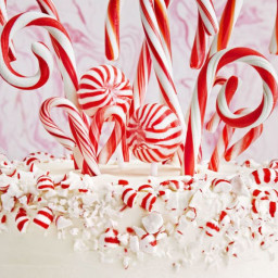 candy-cane-forest-cake-2a24e2-030126271874308a05016540.jpg