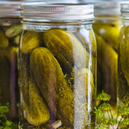 Canned Dill Pickle Recipe