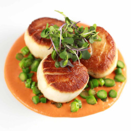 Caramelized Scallops with Curried Roasted Red Pepper Coulis