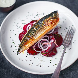 Chargrilled mackerel with sweet and sour beetroot