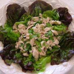 Chicken Salad drferro@pureproactive.com Level 1