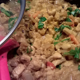 Cheatin' Chicken, Cashew and Mushroom Korma Recipe