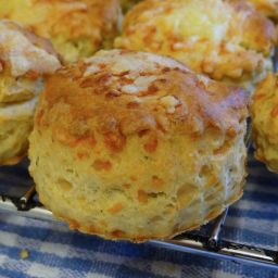Cheese, Mustard and Thyme Scones
