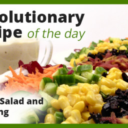 chefs-salad-and-dressing-1951811.jpg