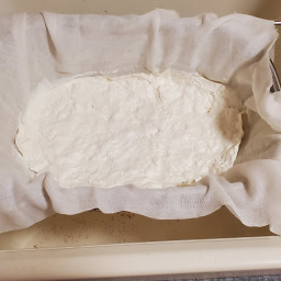 chevre-cheese-goat-cheese-2d6051560fe44930662c4440.jpg