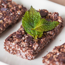 Chewy No Bake Mint Chocolate Chip Protein Bars