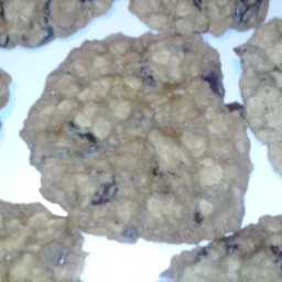 chewy-oatmeal-raisin-cookies-20.jpg
