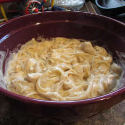 Chicken Alfredo Mushroom Sauce and Linguini Noodles