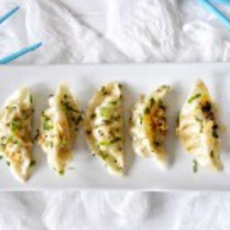 Chicken and Bok Choy Chinese Dumplings