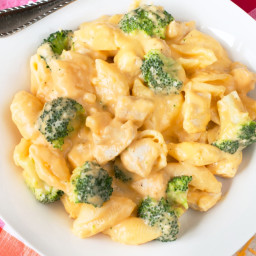 Chicken and Broccoli Shells and Cheese Sauce
