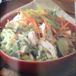 Chicken and Napa Cabbage Salad