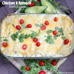 Chicken and Spinach Enchilada Recipe