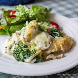 Chicken, Broccoli and Rice Bake