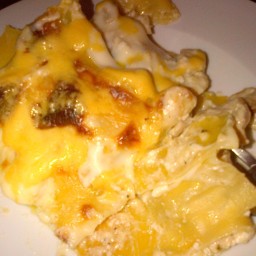 Chicken Cannelloni or Lasagna
