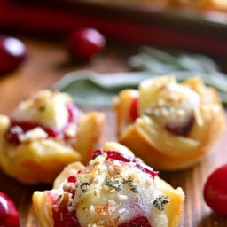 Chicken, Cranberry and Brie Tartlets