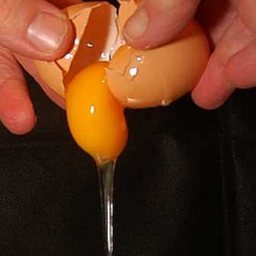 chicken-egg-drop-soup-2.jpg