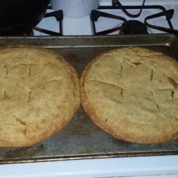 chicken-pot-pie-142.jpg