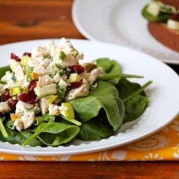Chicken Salad with Dried Cherries and Pistachios