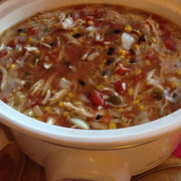 Chicken Tortilla Soup - crock pot