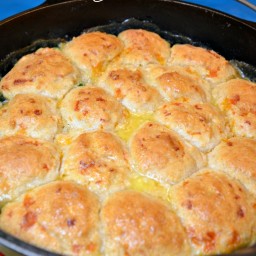 Chicken/Turkey Pot Pie with Garlic Drop Biscuits