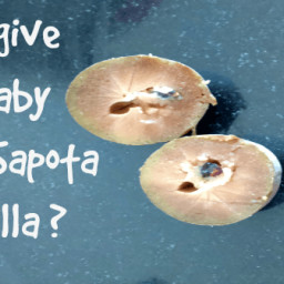 chikoosapota-sapodilla-puree-b37ac2.jpg