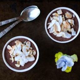 Chocolate and Coconut Chia Seed Mousse