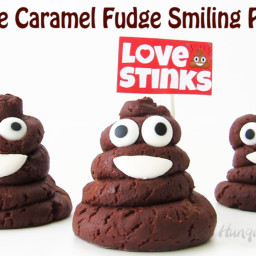 Chocolate Caramel Fudge Smiling Poo Emoji - Love Stinks Valentine's Day Tre