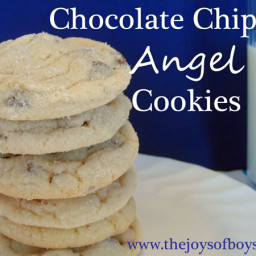 Chocolate Chip Angel Cookies