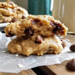Chocolate Chip Oatmeal Pulp Cookies