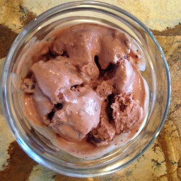 Chocolate Chocolate Chip Ice Cream Recipe (Mike)