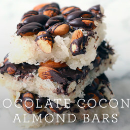 chocolate-coconut-almond-bars-3213e5.jpg