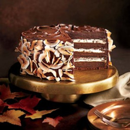 Chocolate-Coconut Layer Cake