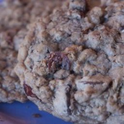 chocolate-cranberry-oatmeal-cookies-2.jpg