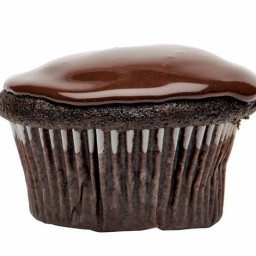 Chocolate Cupcakes for Almost Everybody
