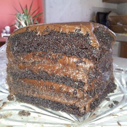 Chocolate Fudge Brownie Cake