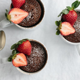chocolate-mug-cake-gluten-free-paleo-1877037.jpg