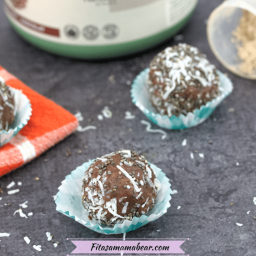 Chocolate Peanut Butter Chia Protein Balls I 20g Protein/Serving