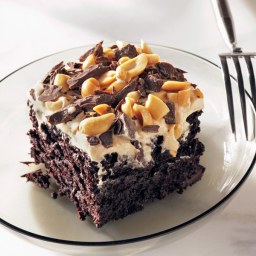 Chocolate-Peanut Butter Fun Cake
