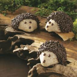 chocolate-pecan-hedgehog-cookies-2331028.jpg