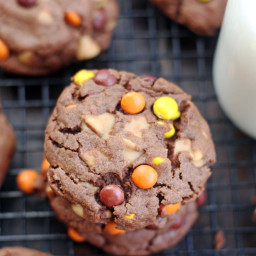 Chocolate Reese's Pieces Peanut Butter Cookies