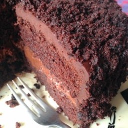 Chocolate Fudge Blackout Cake