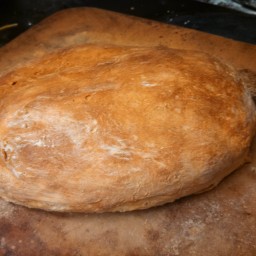 ciabatta-bread-recipe-4.jpg