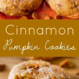 cinnamon-chip-pumpkin-cookies-d407c035d4a90328b3e92631.jpg