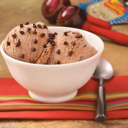 Cinnamon Chocolate Chip Ice Cream