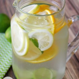 citrus-bliss-infused-water-8d19fd.jpg