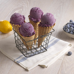 Classic Blueberry Ice Cream
