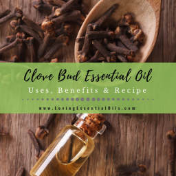 Clove Essential Oil Recipes