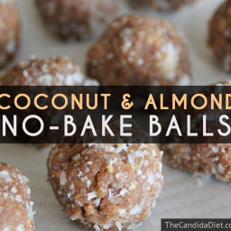 Coconut & Almond No-Bake Balls » The Candida Diet