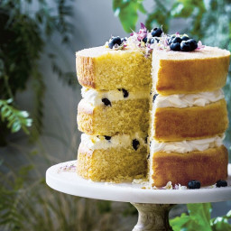 Coconut and blueberry sponge layer cake