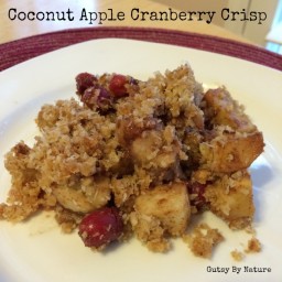 Coconut Apple Cranberry Crisp (Grain Free, Dairy Free, Nut Free)